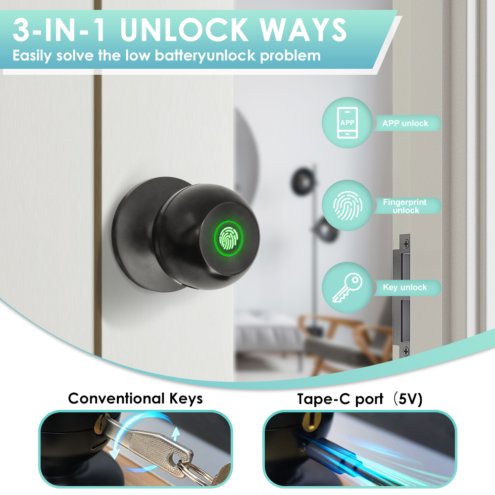 Tuya Electronic Door Lock Smar - đánh giá và giá Unique Electronics Gadgets