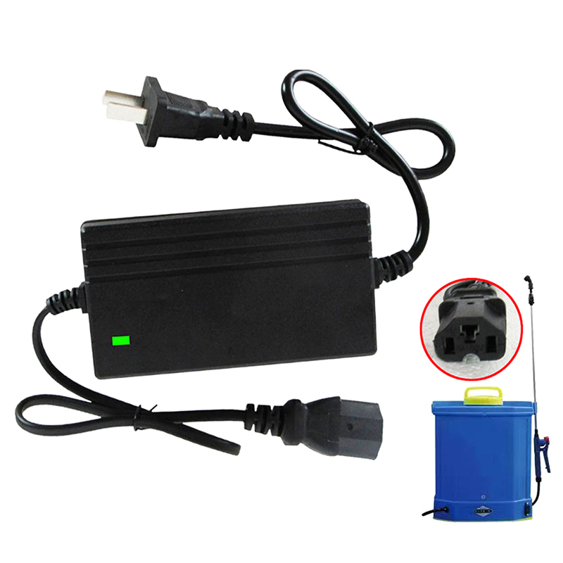 1A Lithium Battery Charger Spa - đánh giá và giá Electro Gadgets